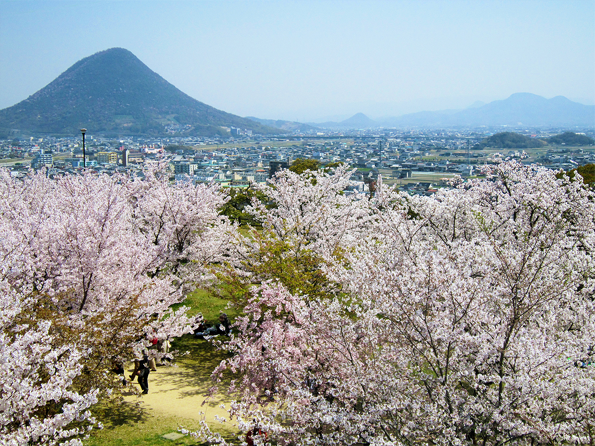 El castillo de Marugame, también conocido como el castillo de Kameyama - Marugame | Secret World Trip Planner