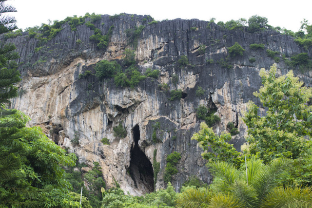 ખાઓ યાઈ નેશનલ પાર્કની બેટ ગુફાઓ - Provincia di Nakhon Ratchasima | Secret World Trip Planner