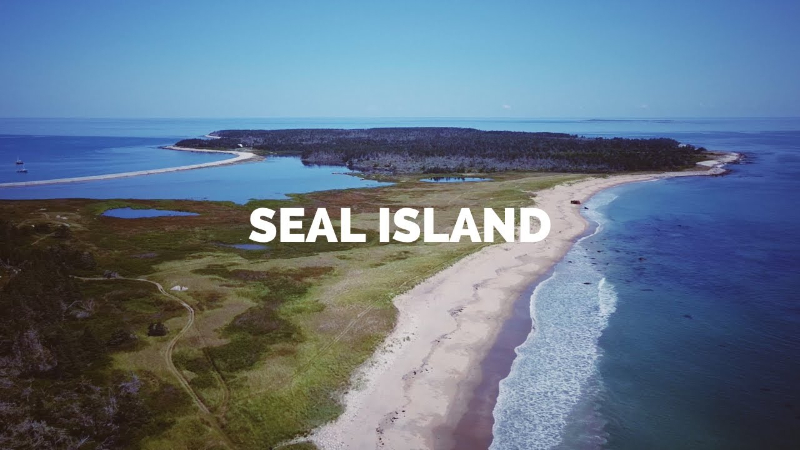Seehundinsel — Seal Island