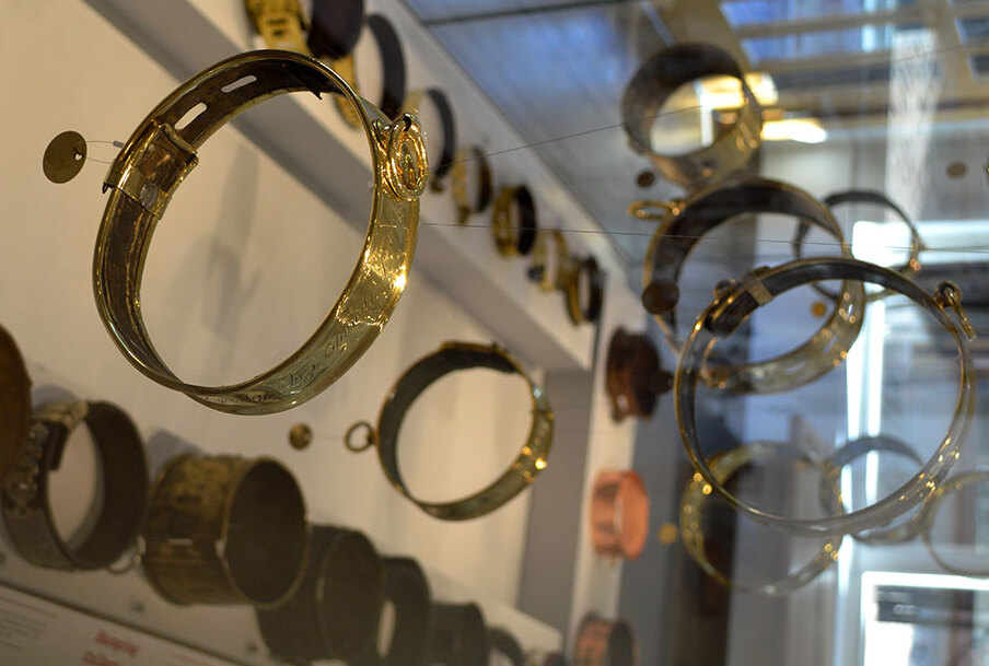 El único museo de collares de perro del mundo - Broomfield | Secret World Trip Planner