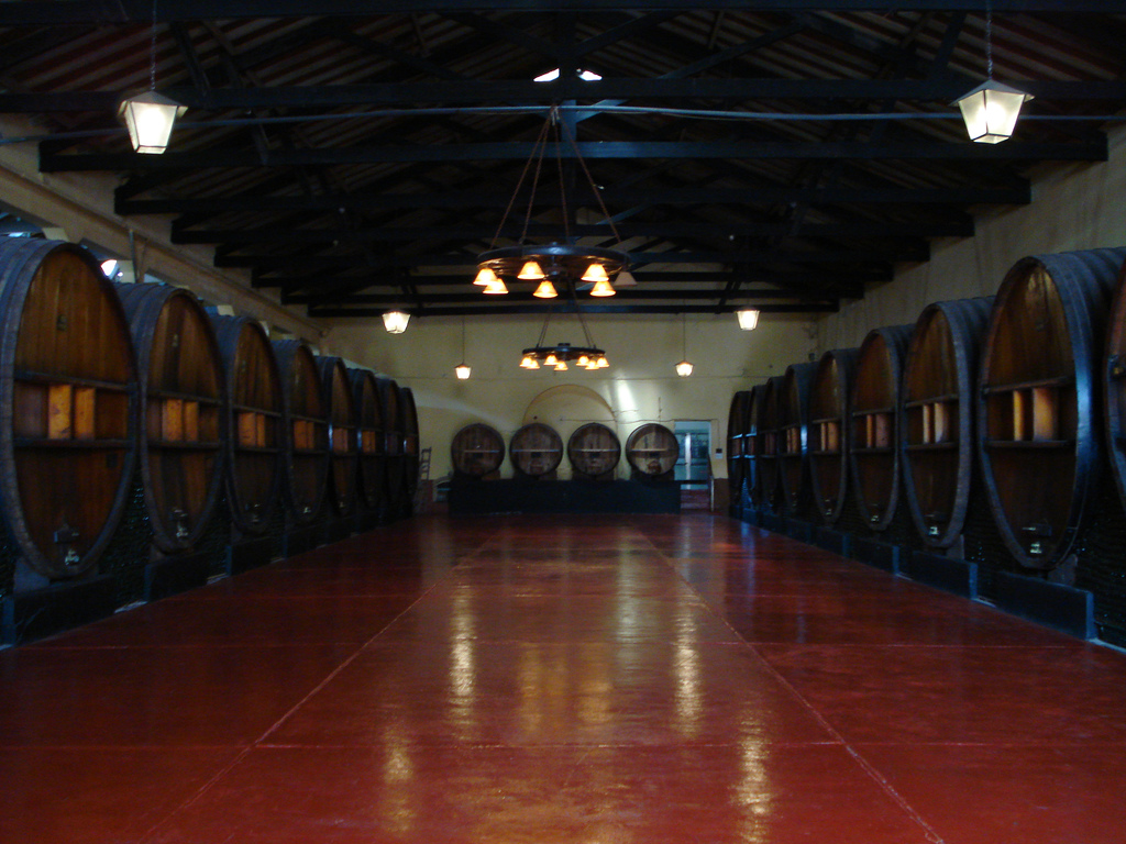 Scopri l'Esperienza del Vino a Mendoza, Argentina - Rivadavia 234 | Secret World Trip Planner