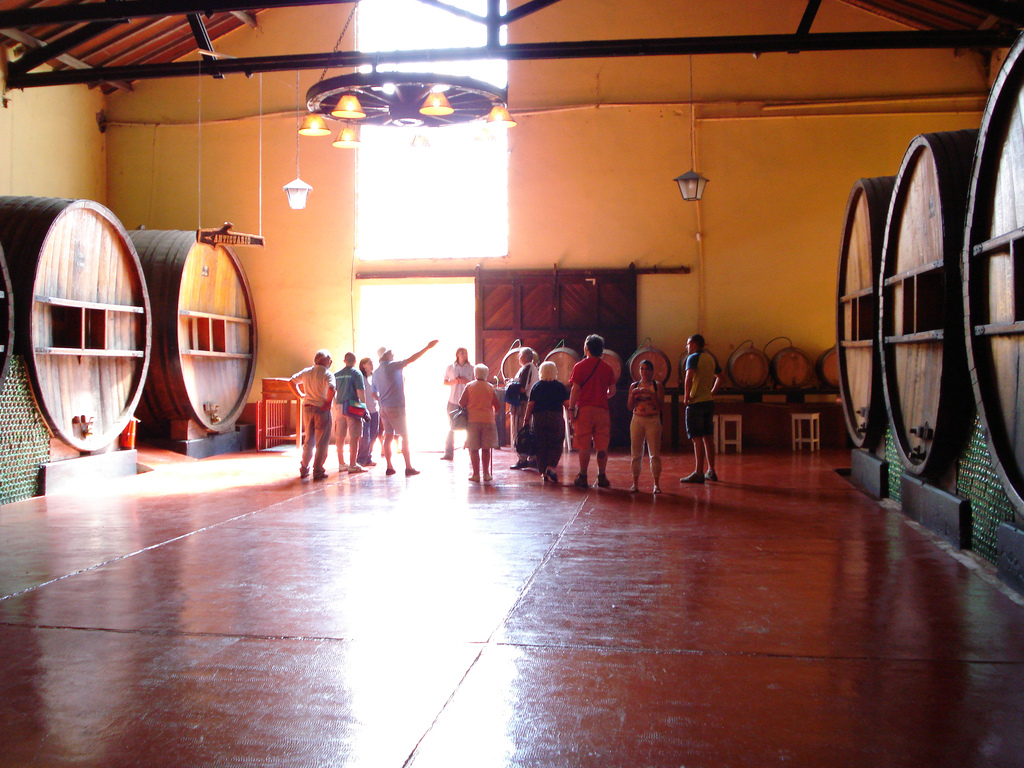 Discover the Wine Experience in Mendoza, Argentina — Rivadavia 234