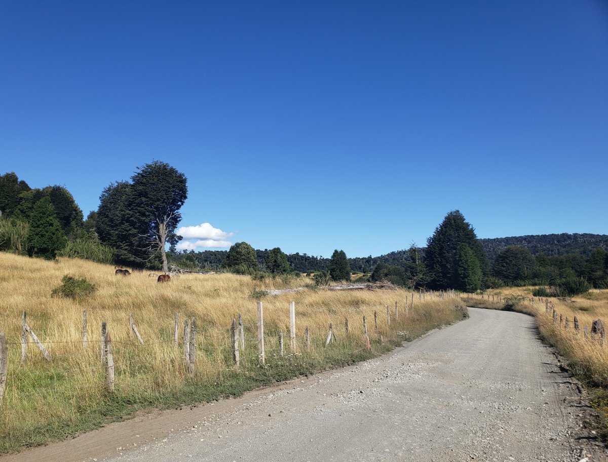 几内亚温泉：智利的自然天堂 - Panguipulli | Secret World Trip Planner