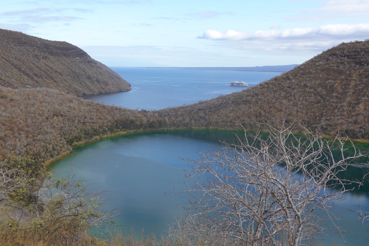 Découvrir les Îles Galápagos : Un Paradis de Biodiversité - Galápagos | Secret World Trip Planner