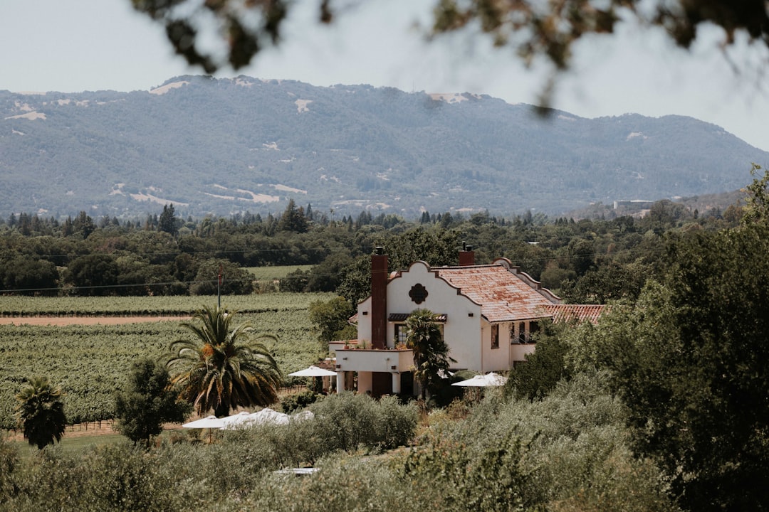 Sonoma Valley: A Magia dos Vinhos da Califórnia - Sonoma Valley | Secret World Trip Planner