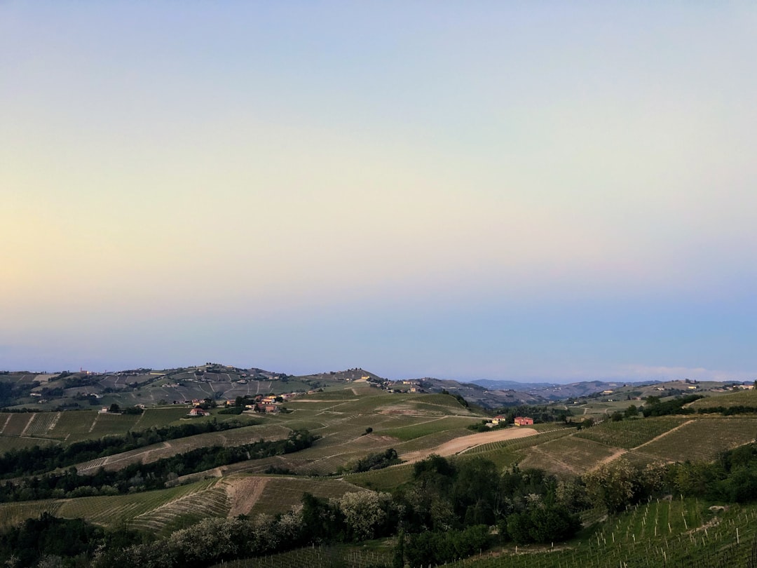 Откройте для себя Ланге: путешествие по Бароло и Барбареско - Langhe | Secret World Trip Planner