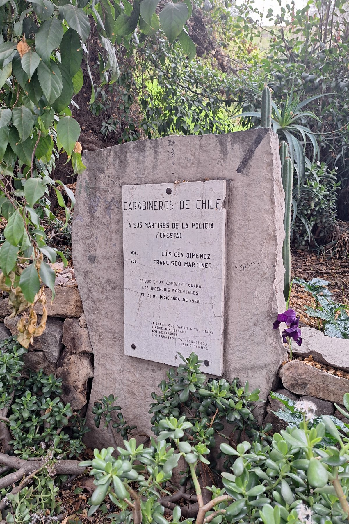 Cerro Blanco : Les Sentiers Cachés du Chili - Recoleta | Secret World Trip Planner