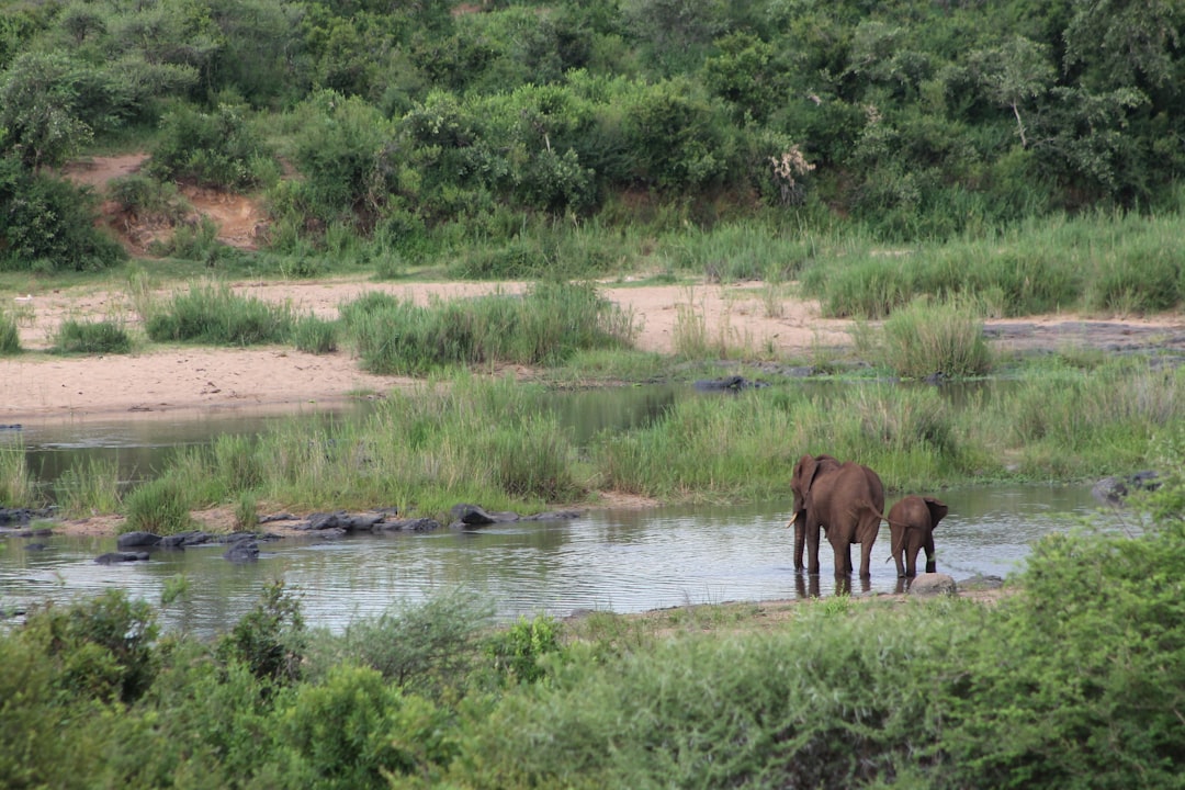 Skukuza: Ein Paradies der Biodiversität in Südafrika - Skukuza | Secret World Trip Planner