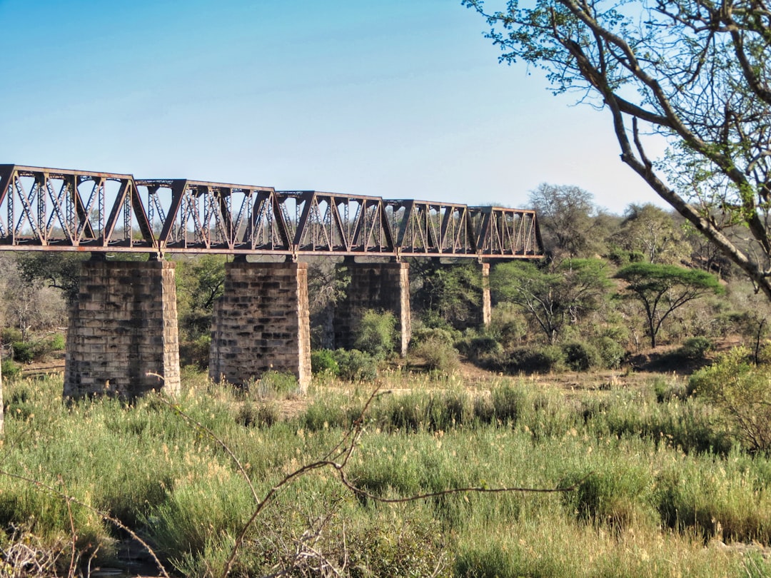 Skukuza : Un Paradis de Biodiversité en Afrique du Sud — Skukuza