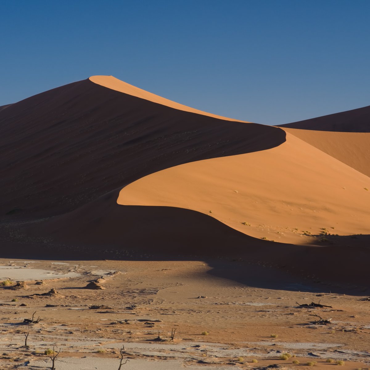 Descubre el Desierto de Namib: Dunas y Silencio | Secret World Trip Planner