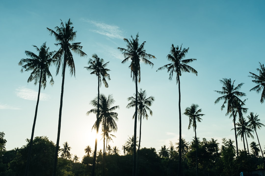 How to Plan an AI Trip to Bali in 2026 - Bali | Secret World Trip Planner