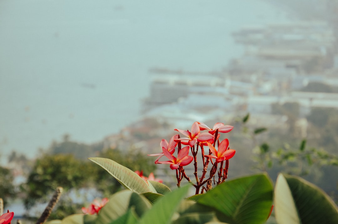 Top 5 travel apps Porto 2026: le migliori app recensite - Porto | Secret World Trip Planner