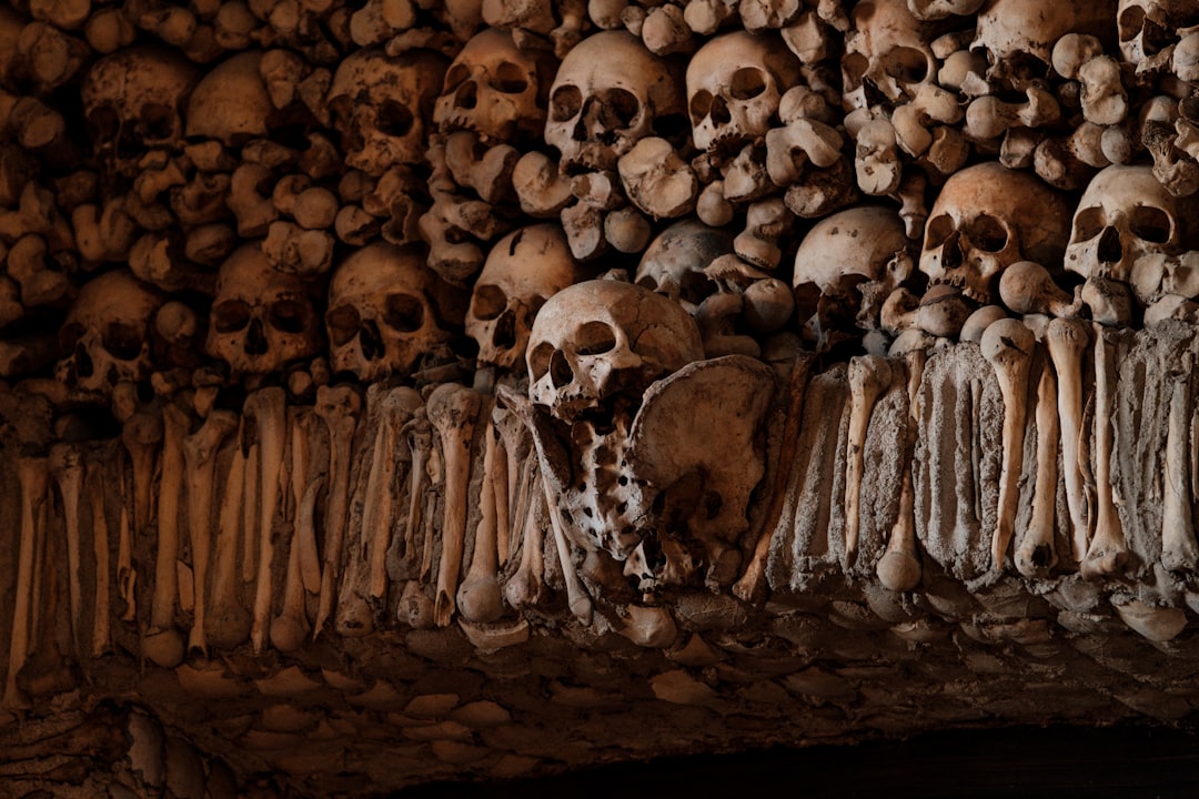 Secret World app review Évora 2026: la tua guida perfetta - Évora | Secret World Trip Planner