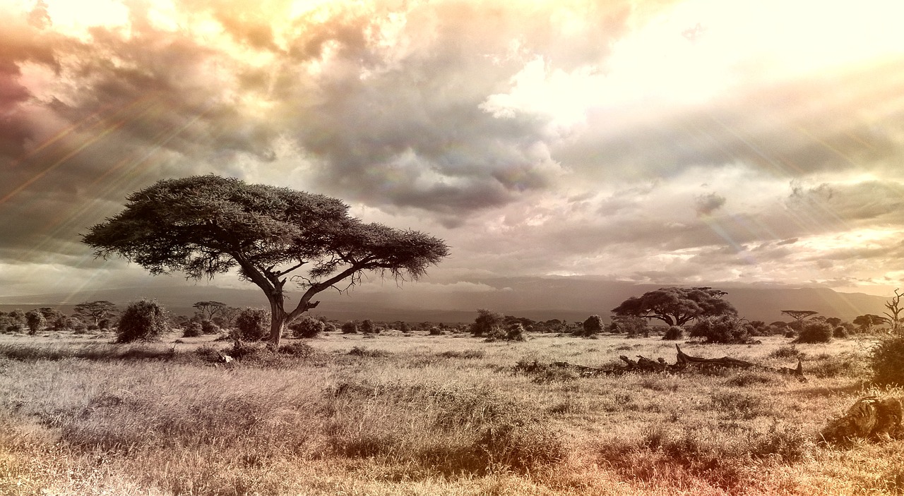 Itinerario Savannah 2026 con AI: La Guida Perfetta — Savannah