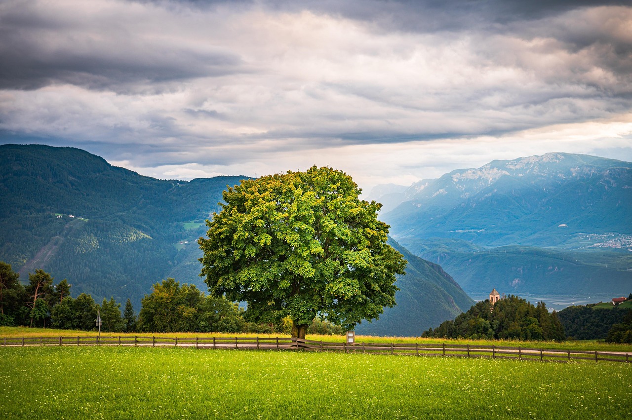 Perfect Bolzano Itinerary with AI: Practical Guide 2026 - Bolzano | Secret World Trip Planner