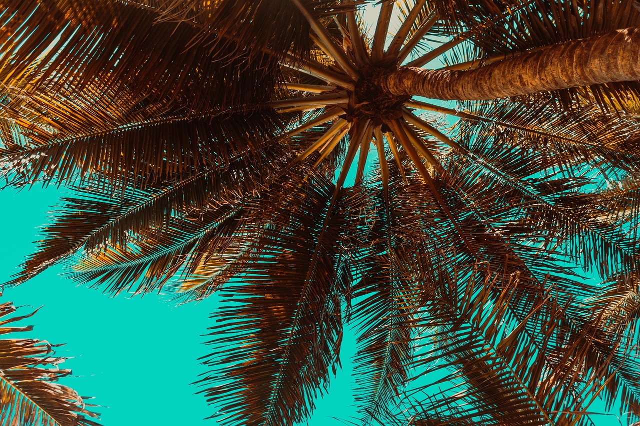 Weekend a Palm Springs con Secret World: Guida 2026 - Palm Springs | Secret World Trip Planner