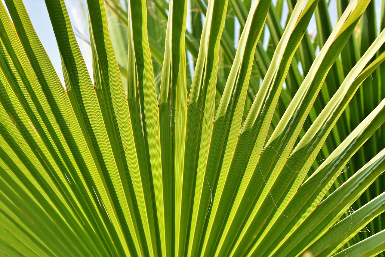 Weekend a Palm Springs con Secret World: Guida 2026 - Palm Springs | Secret World Trip Planner