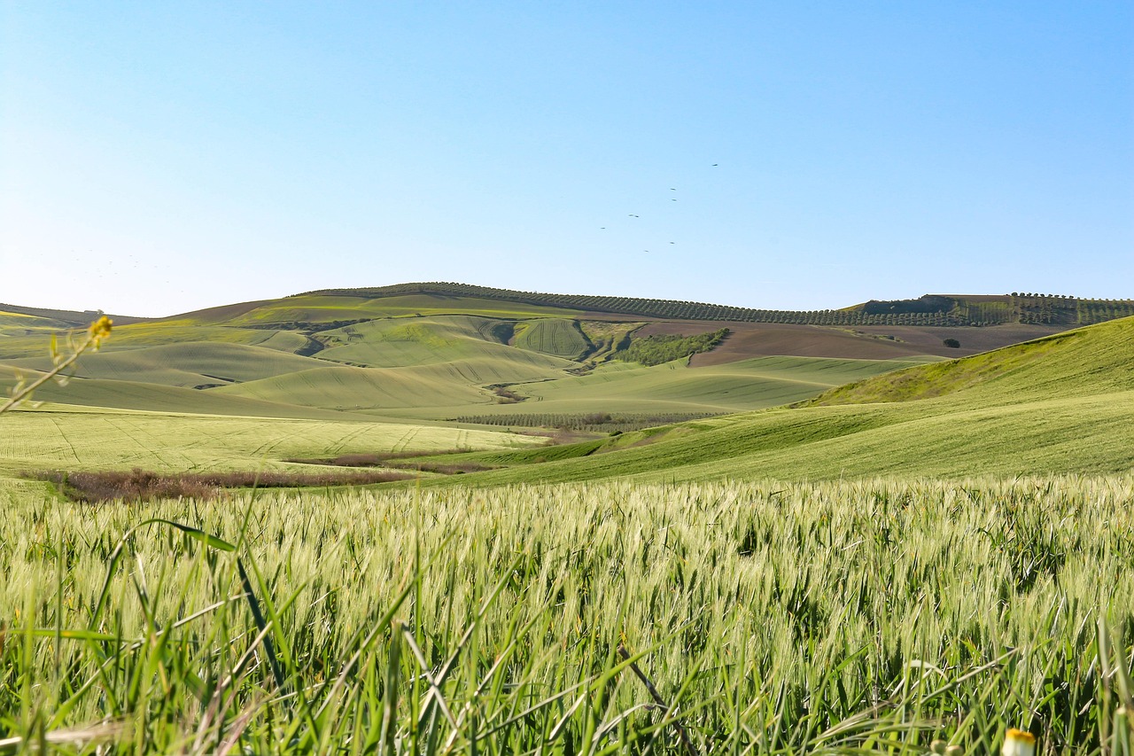 Las 5 mejores apps de viaje Córdoba 2026: descubre Secret World - Córdoba | Secret World Trip Planner