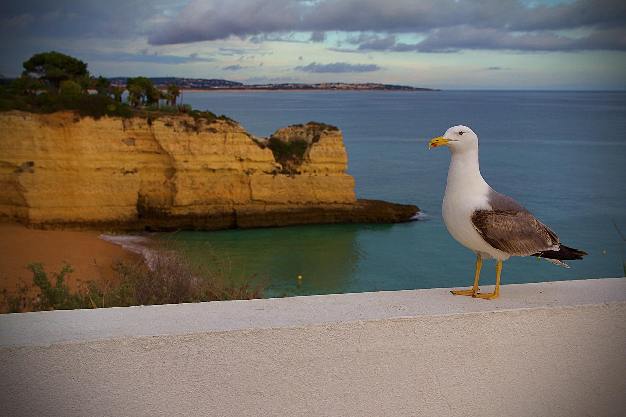 Itinerário Perfeito Albufeira com IA: Guia 2026 - Albufeira | Secret World Trip Planner