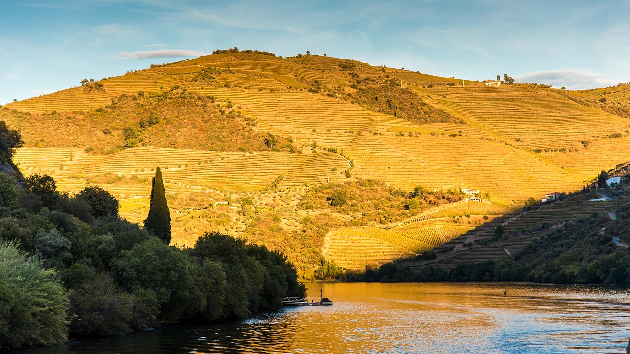 Fim de semana no Vale do Douro com Secret World: guia ideal - Douro Valley | Secret World Trip Planner