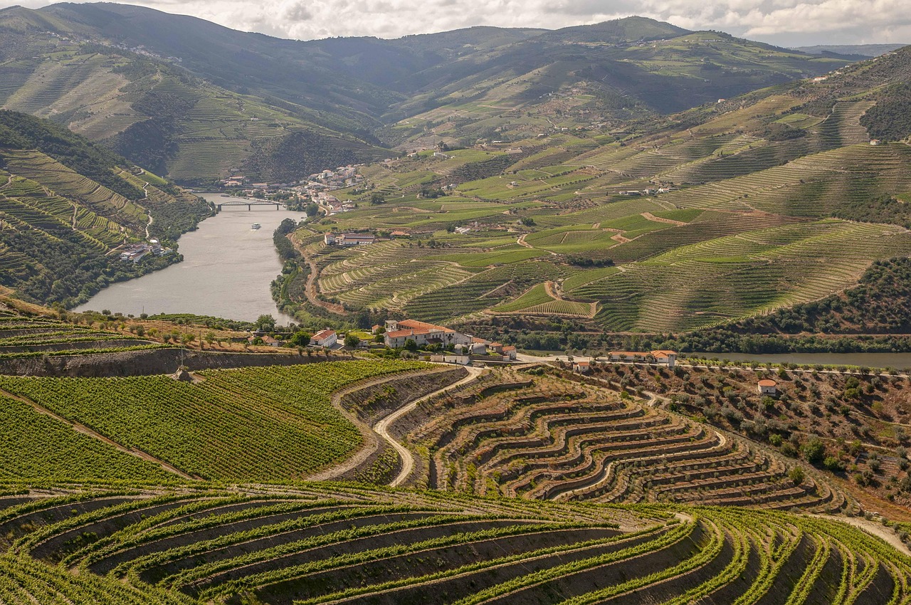 Fim de semana no Vale do Douro com Secret World: guia ideal - Douro Valley | Secret World Trip Planner