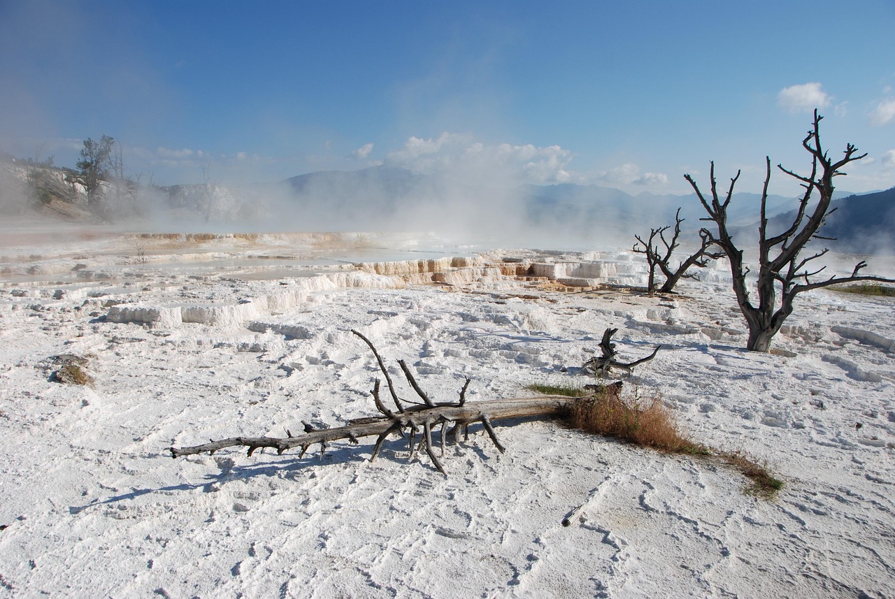 AI Trip Planner Yellowstone 2026: Revolutionize Your Travels - Yellowstone | Secret World Trip Planner