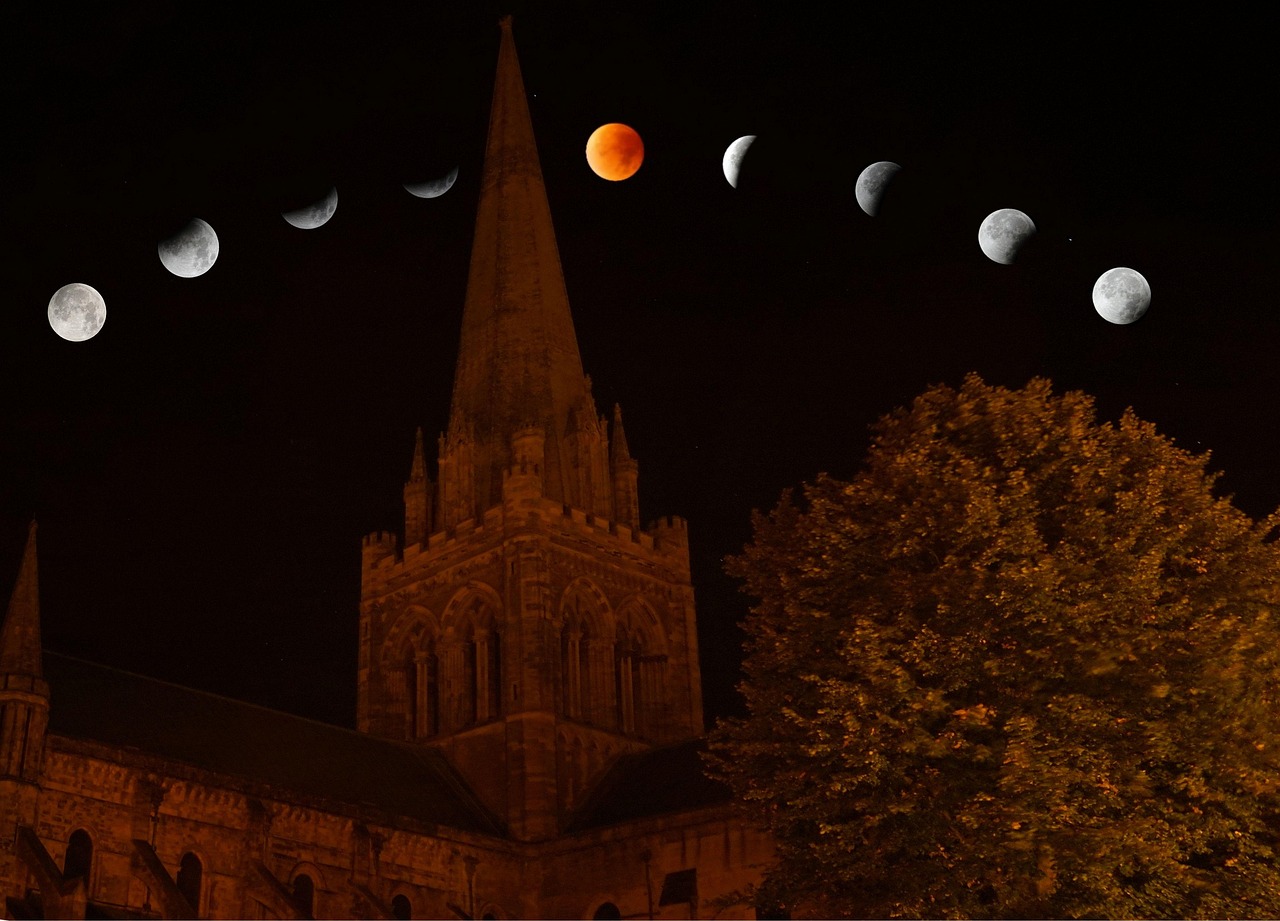 Secret World Review 2026 in Chichester: My Experience - Chichester | Secret World Trip Planner
