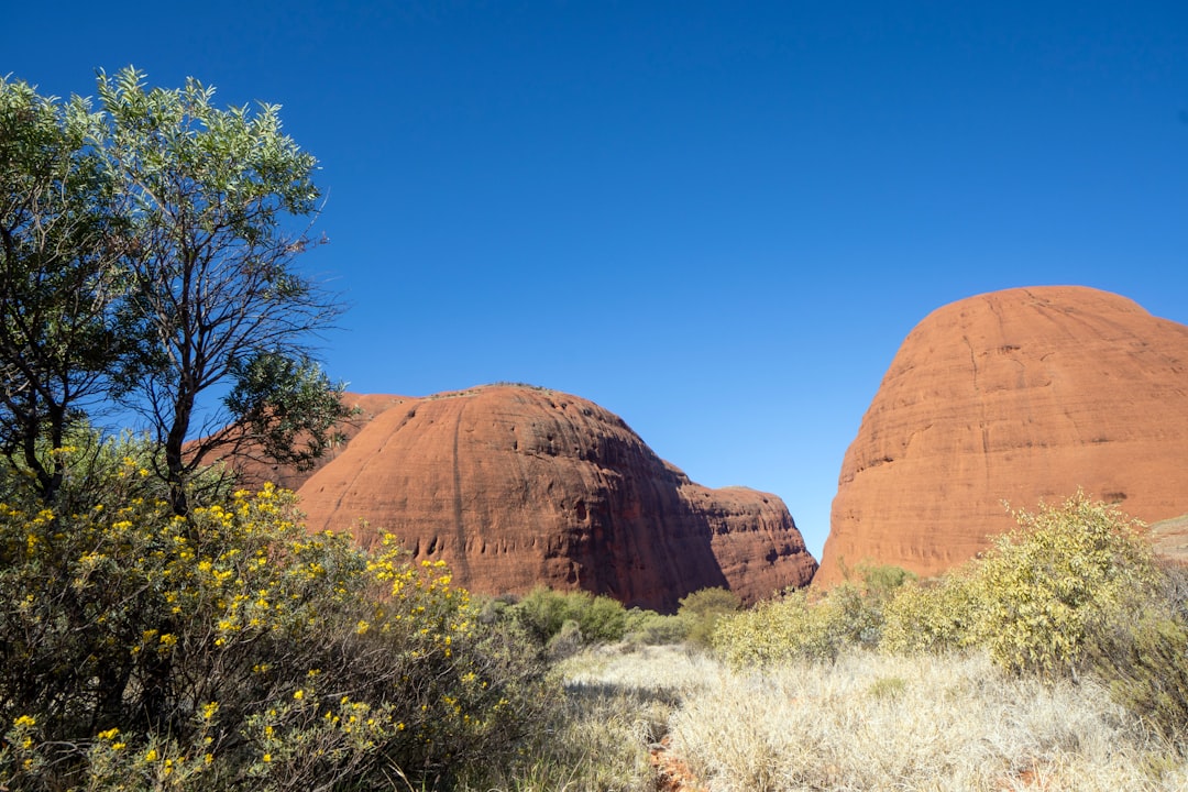 Secret World vs Wanderlog: Best Trip Planner in Uluru 2026 - Uluru | Secret World Trip Planner