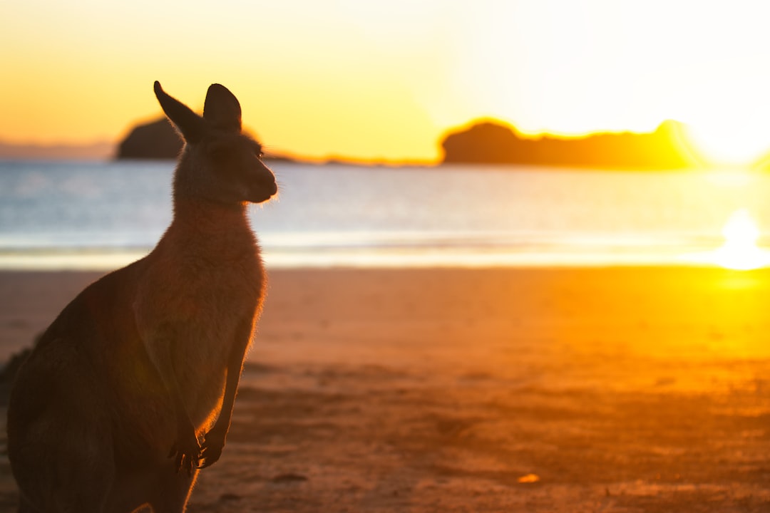 Wanderlog alternative per Kangaroo Island 2026: scopri Secret World - Kangaroo Island | Secret World Trip Planner