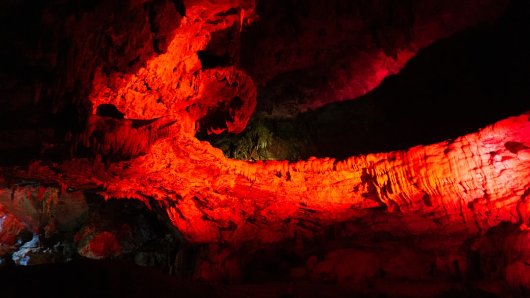 Las Mágicas Grutas de Waitomo: Luz y Sombras - 39 Waitomo Village Road | Secret World Trip Planner