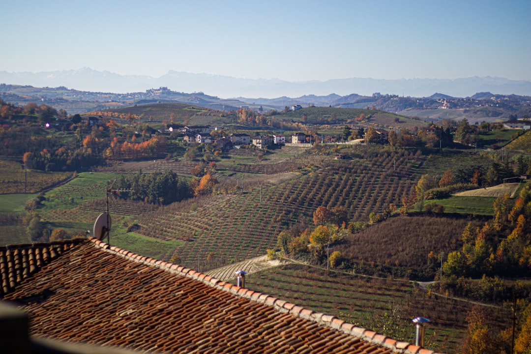 Discover Langaround Wines: Barolo and Barbaresco - 9 | Secret World Trip Planner