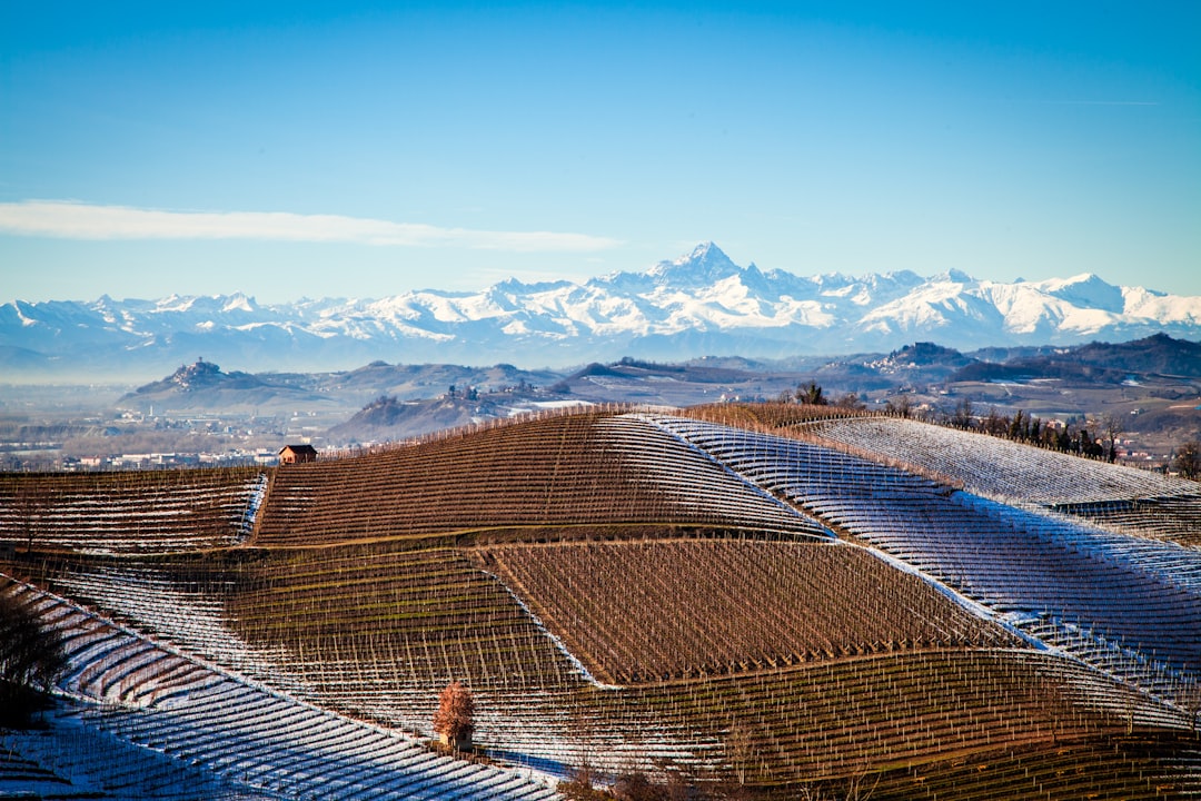 Découvrez les Vins de Langaround : Barolo et Barbaresco - 9 | Secret World Trip Planner