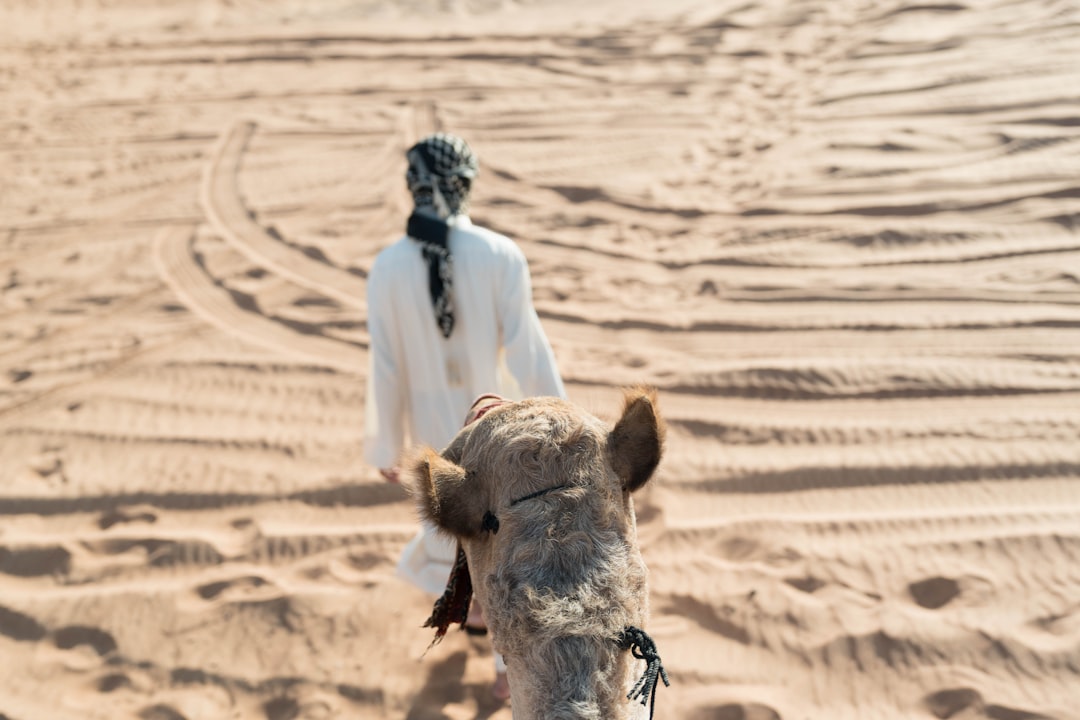 두바이 여행: 2026년을 위한 팁과 일정 - Dubai | Secret World Trip Planner