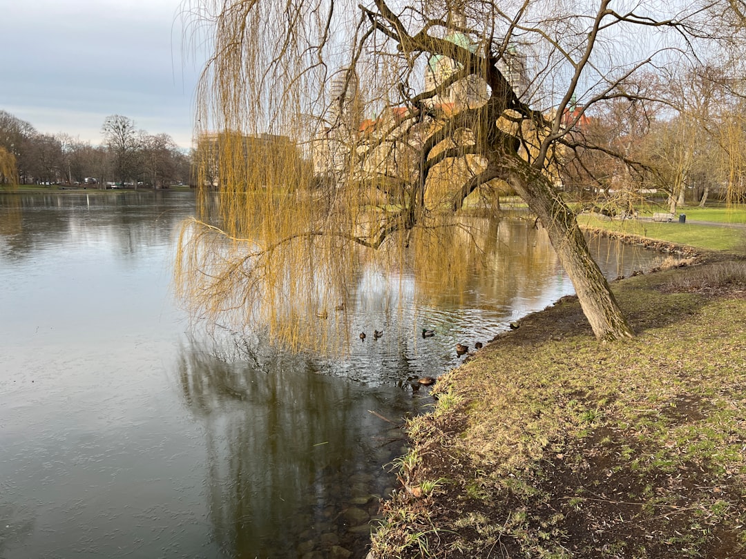 Herrenhausen Gardens: A Botanical Paradise in Hanover - Herrenhäuser Str. 4 | Secret World Trip Planner
