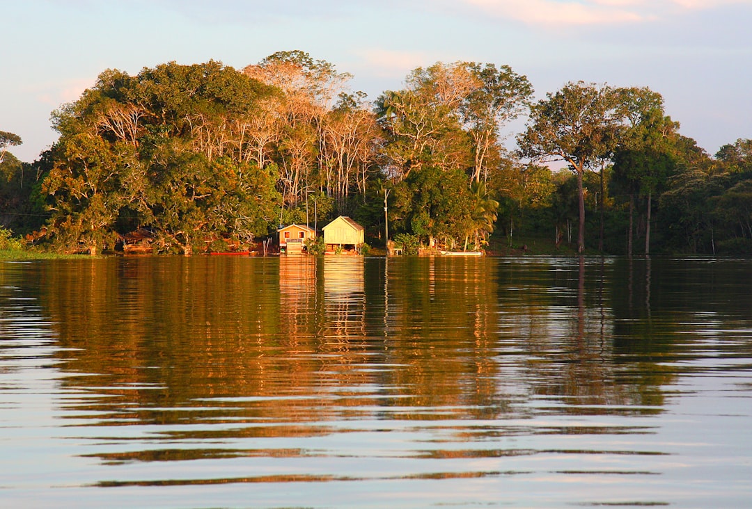 Die Magie des Amazonaswaldes Entdecken - Codajás - Amazonas | Secret World Trip Planner