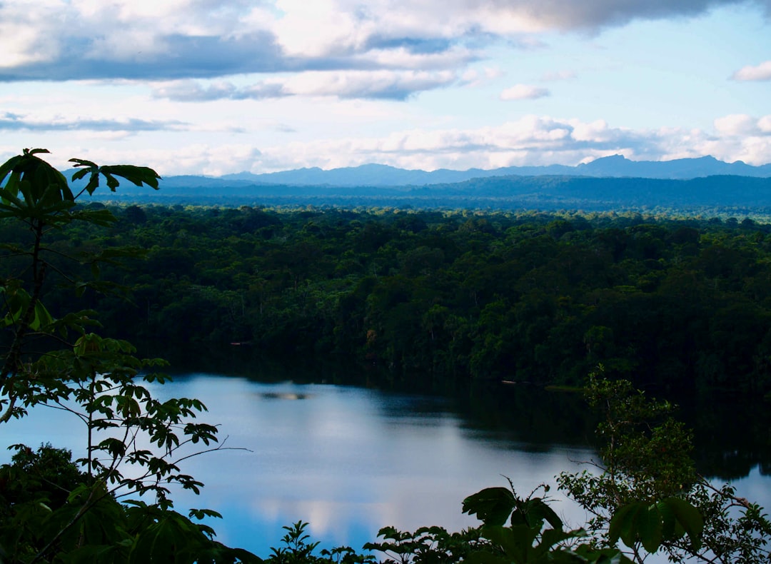 Die Magie des Amazonaswaldes Entdecken - Codajás - Amazonas | Secret World Trip Planner