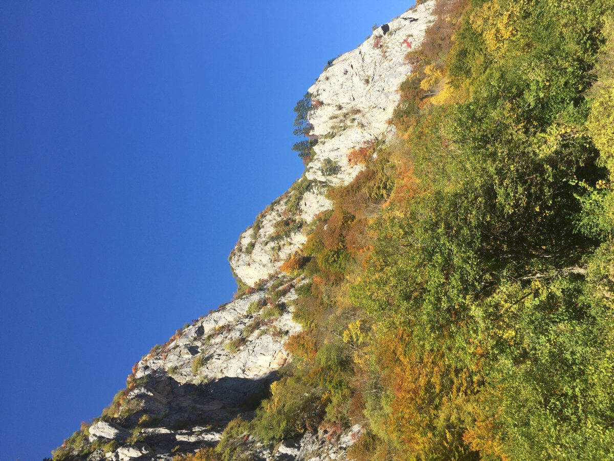 Descubre los Alpes Dinaricos: Naturaleza y Biodiversidad - Alpi Dinariche | Secret World Trip Planner