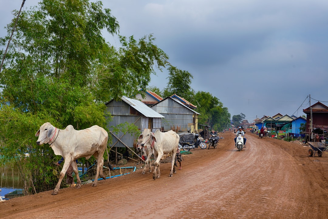 Découvrez Landmap : une expérience unique au Cambodge | Secret World Trip Planner