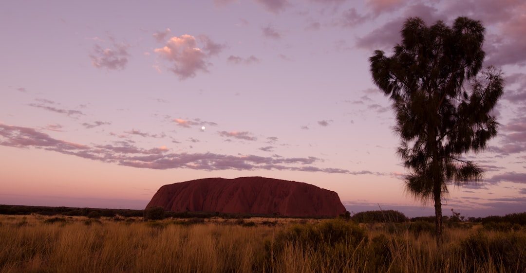 Uluṟu : Le Tronc de Feu au Coucher du Soleil — Mutitjulu NT 0872