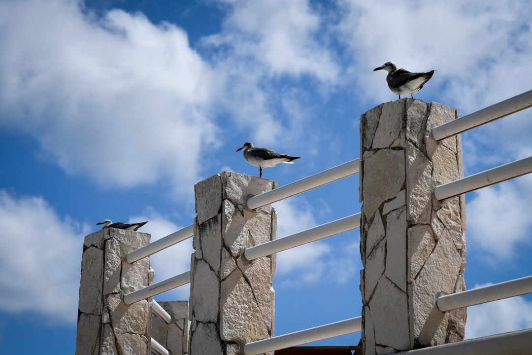 Affordable Cancun Vacations: Tips and Practical Guide - Cancún | Secret World Trip Planner