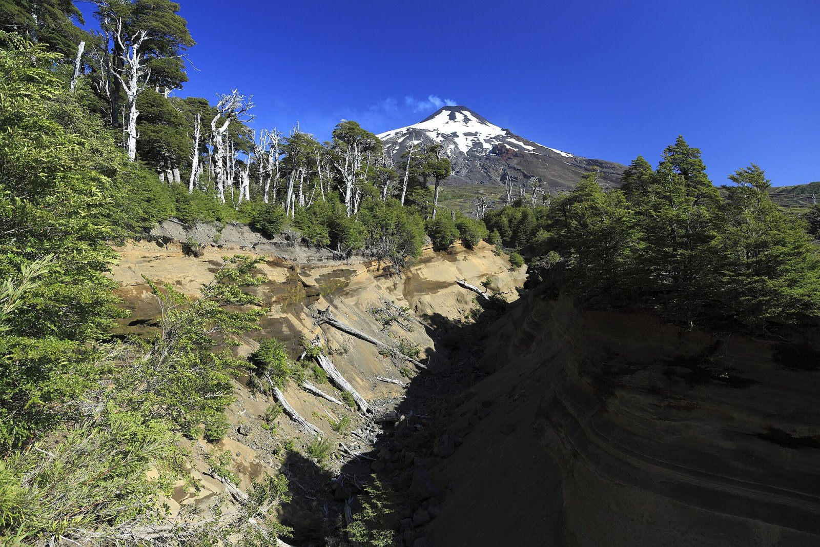 Descubre las fascinantes Cuevas Volcánicas del Villarrica en Chile - Refugio Villarrica | Secret World Trip Planner