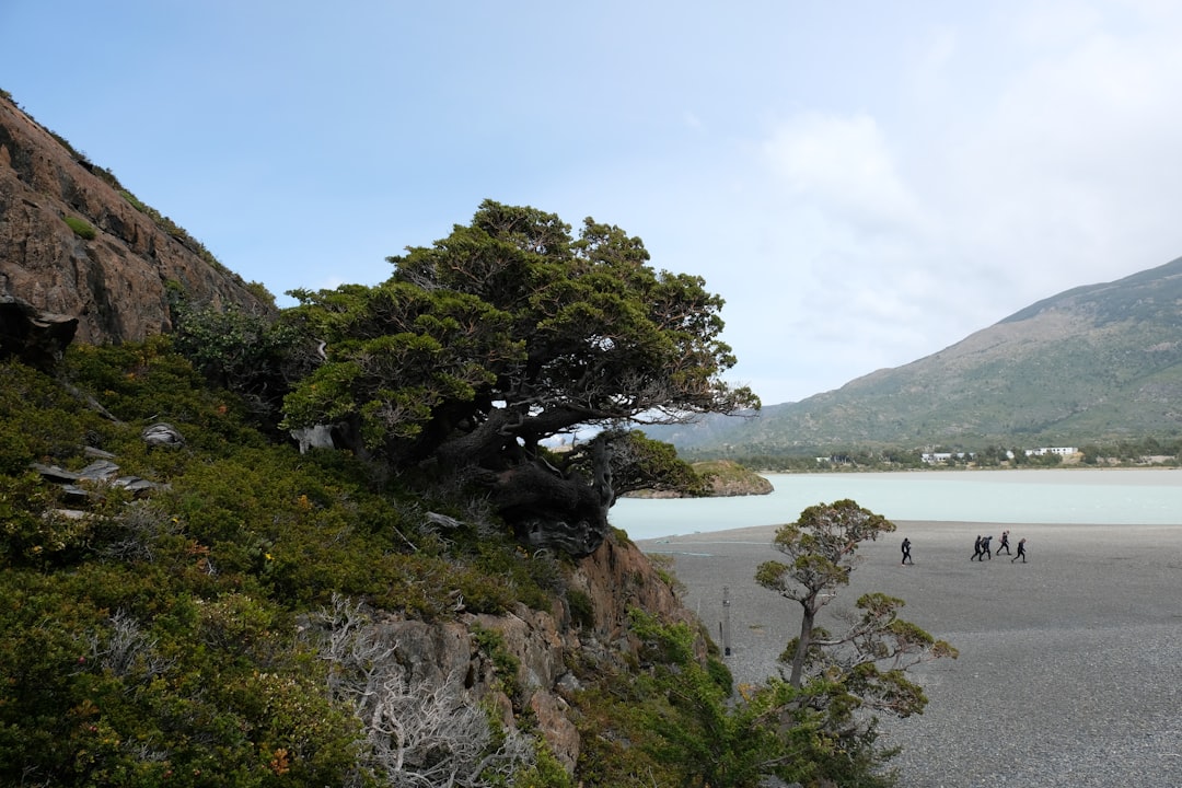 Mirador Lago Grey: un panorama impresionante en Chile | Secret World Trip Planner