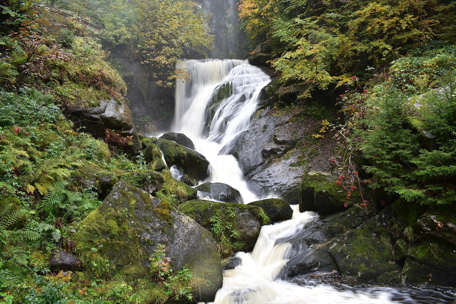 探索德国壮观的特里贝格瀑布 - Schonach im Schwarzwald | Secret World Trip Planner