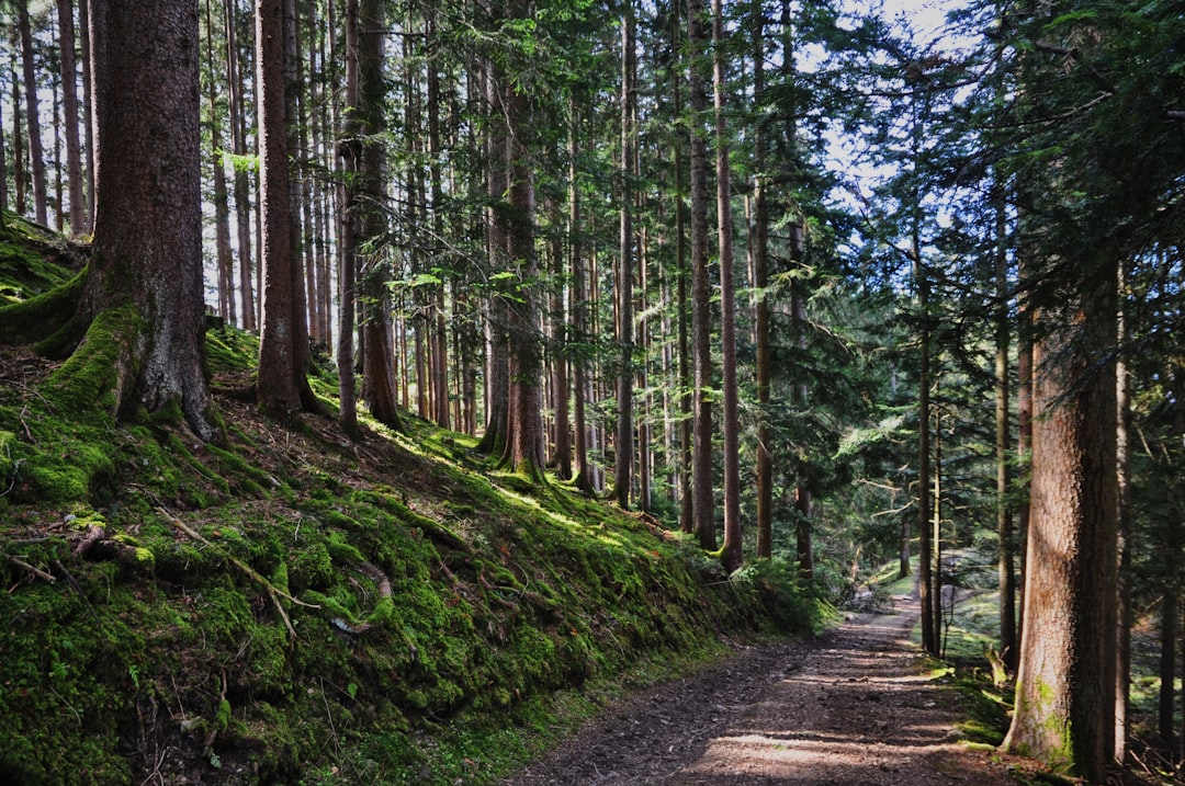 Scopri Tegernsee: un gioiello della Baviera immerso nella natura - Tegernsee | Secret World Trip Planner