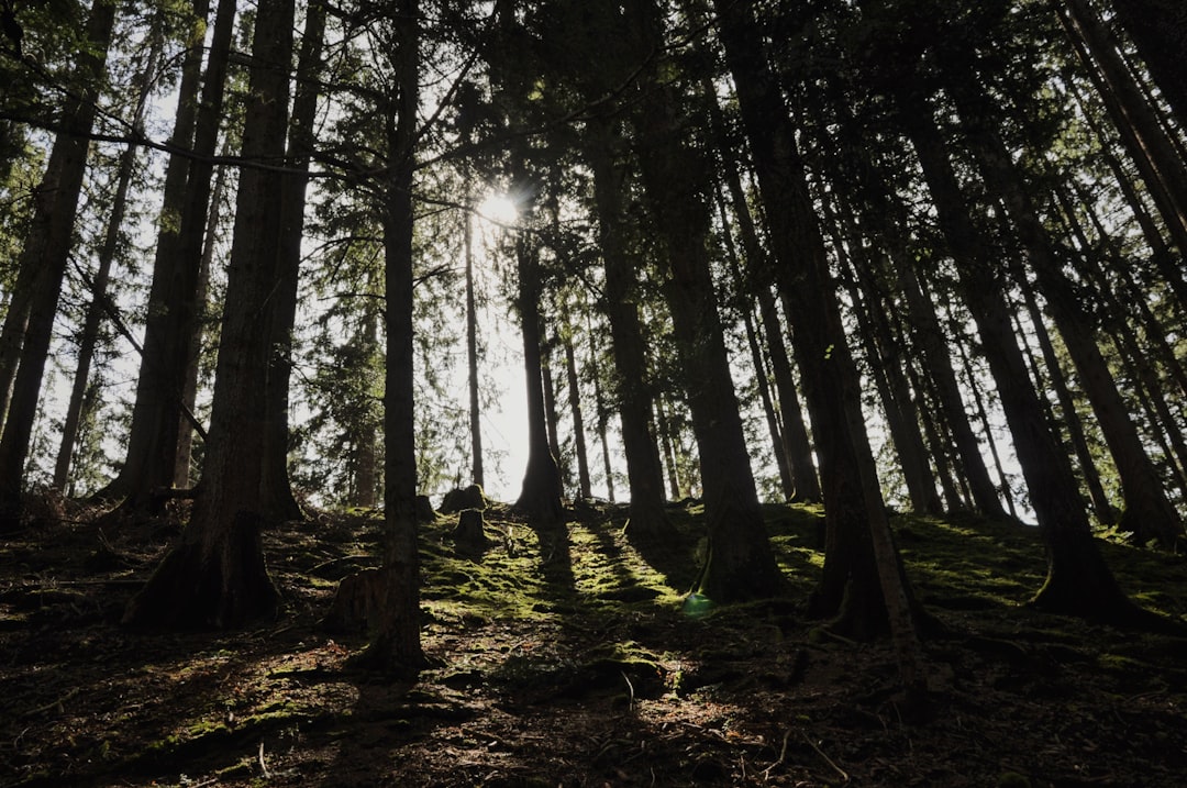 Descubra Tegernsee: uma joia da Baviera imersa na natureza - Tegernsee | Secret World Trip Planner