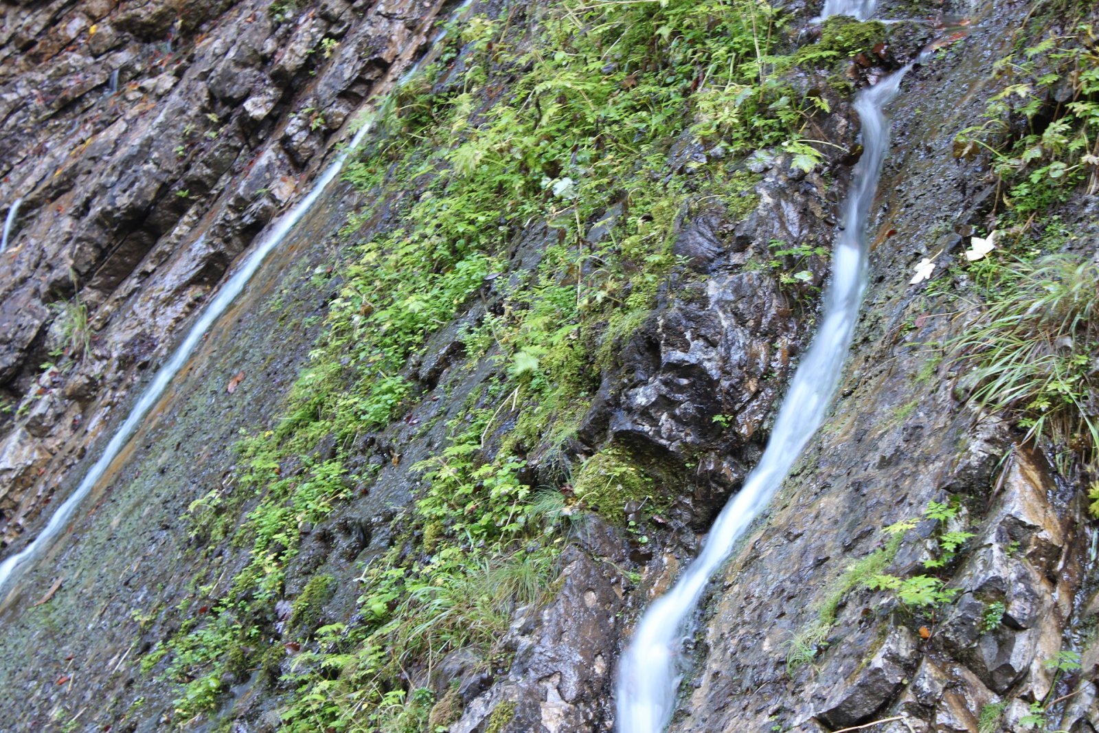 Wimbachklamm 발견하기: 바이에른의 자연 보석 - Ramsau bei Berchtesgaden | Secret World Trip Planner