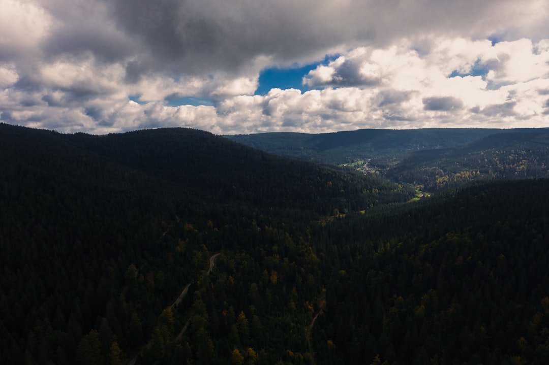 Scopri il Parco Nazionale della Foresta Nera: un gioiello naturale in Germania — Freudenstadt