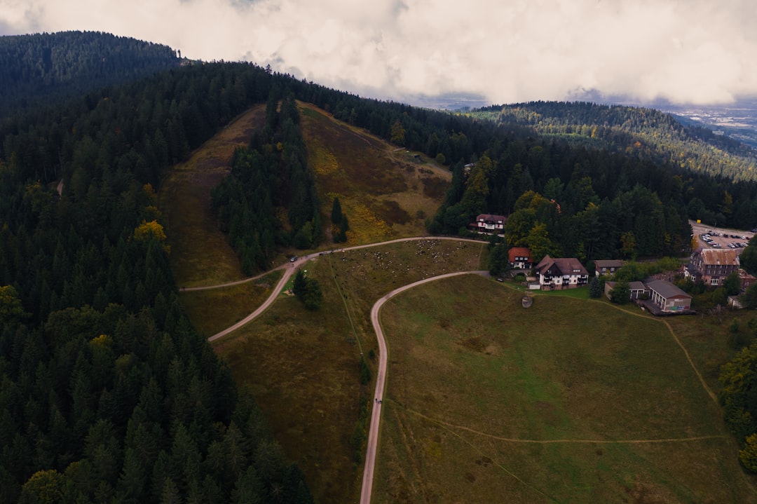 Scopri il Parco Nazionale della Foresta Nera: un gioiello naturale in Germania - Freudenstadt | Secret World Trip Planner