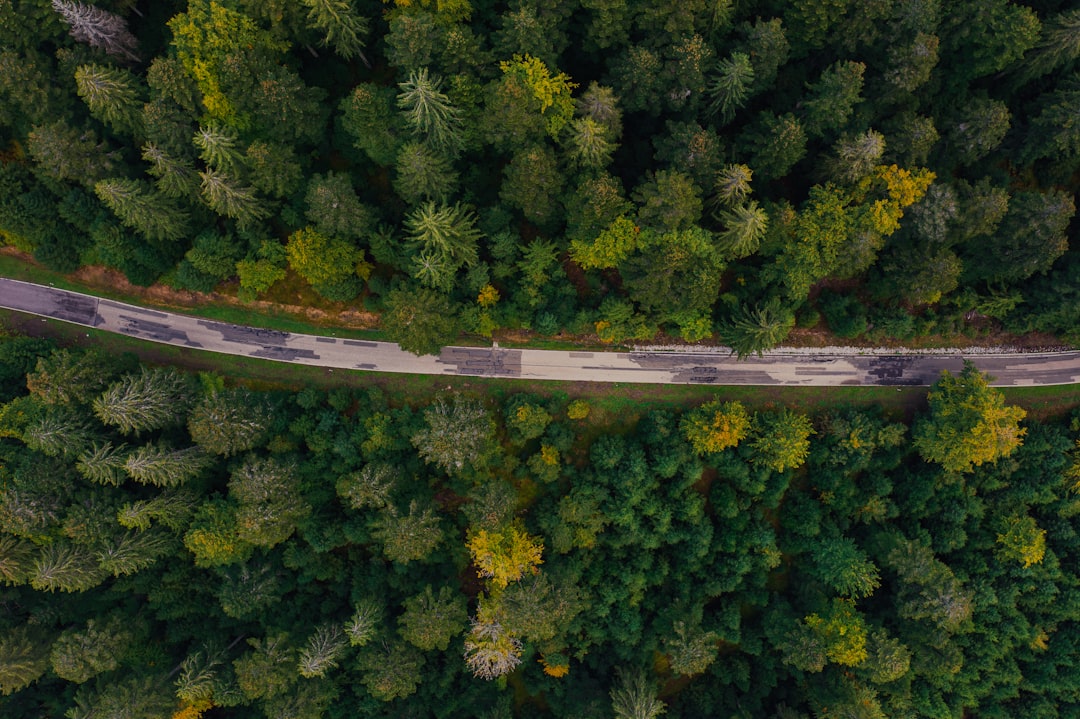 Découvrez le Parc National de la Forêt Noire : un joyau naturel en Allemagne - Freudenstadt | Secret World Trip Planner