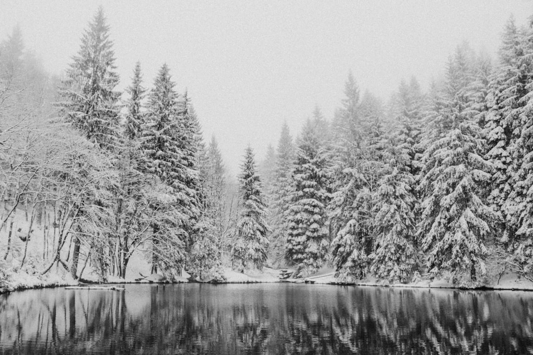 Descubre el Thüringer Wald: una joya natural en Alemania — Oberhof